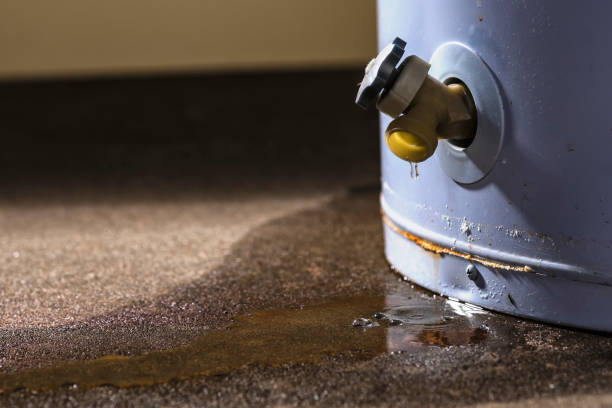 Best Flood damage cleanup  in Woodville, WI