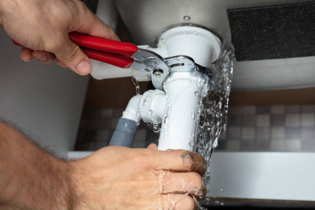 Best Water damage restoration insurance claims  in Woodville, WI