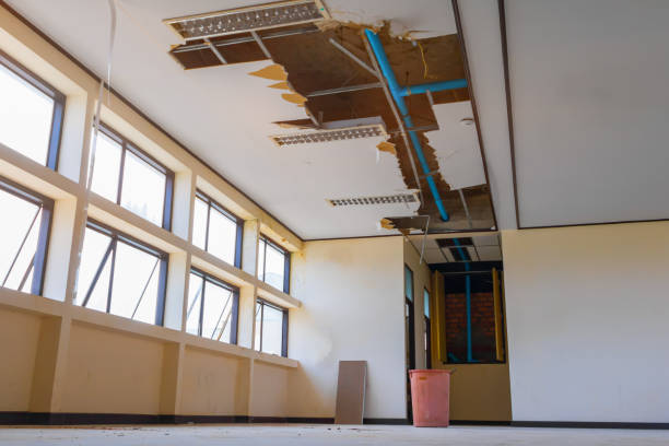 Best 24-hour water damage restoration  in Woodville, WI