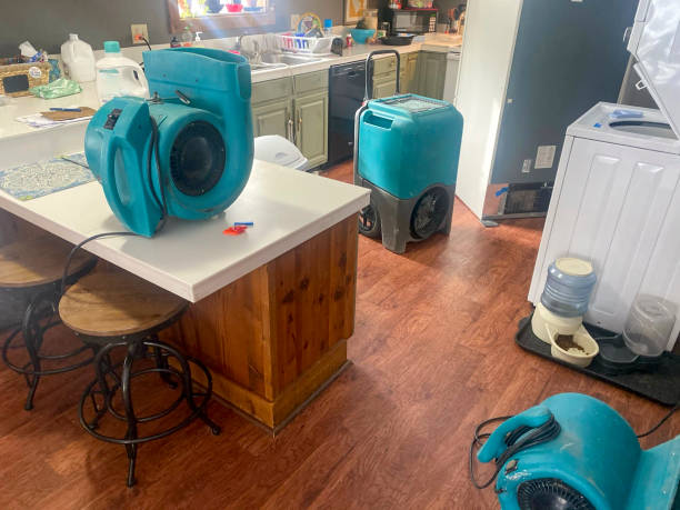 Woodville, WI Water damage restoration Company