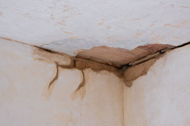 Professional Water damage restoration in Woodville, WI