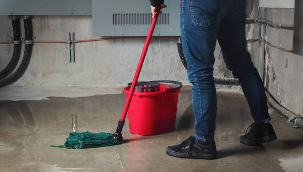 Best Sewage cleanup and water damage restoration  in Woodville, WI