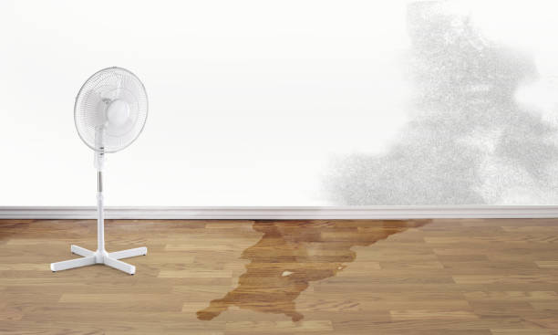 Best Local water damage restoration  in Woodville, WI