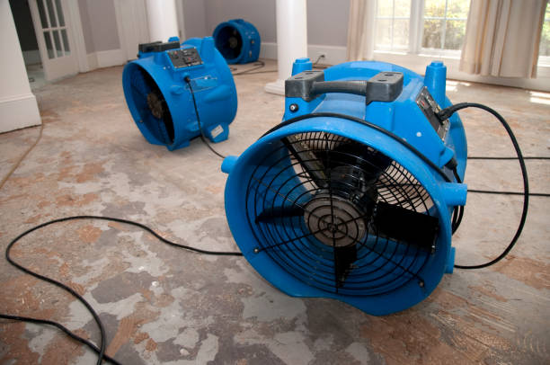 Best Water damage restoration insurance claims  in Woodville, WI