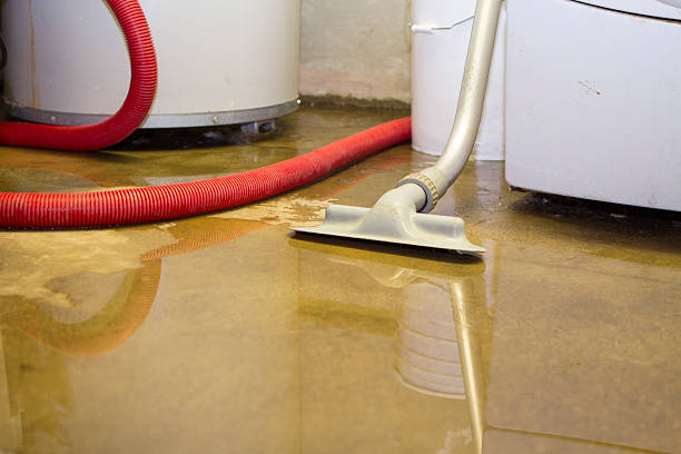 Best Emergency water damage restoration  in Woodville, WI