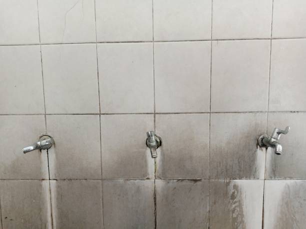 Best Water damage restoration near me  in Woodville, WI