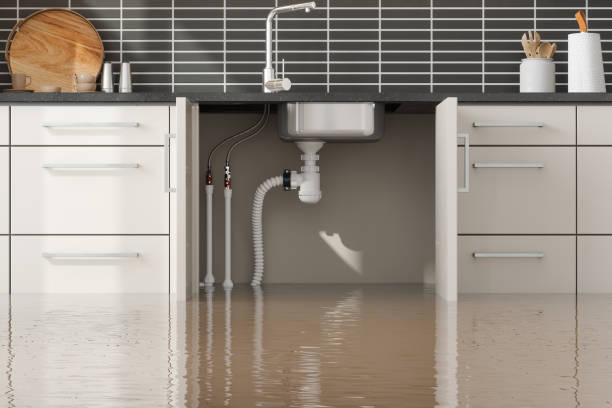 Best Water damage repair service  in Woodville, WI