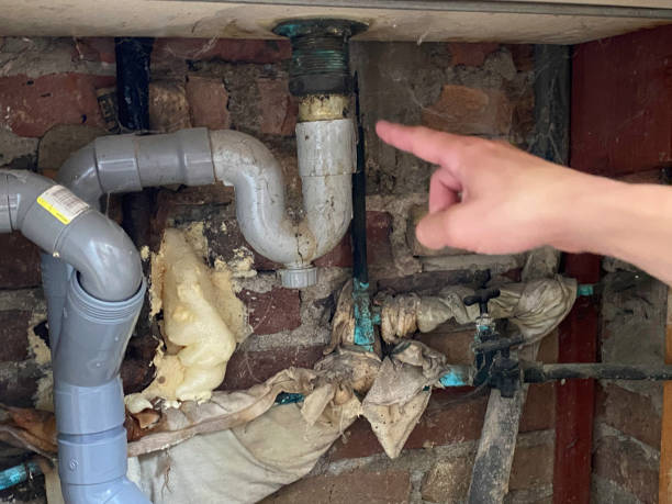 Best Water damage restoration process  in Woodville, WI